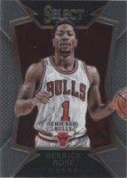 2014-15 Panini Select - Derrick Rose #25