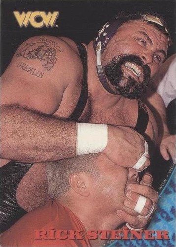 1998 Topps WCW/nWo - Rick Steiner #11