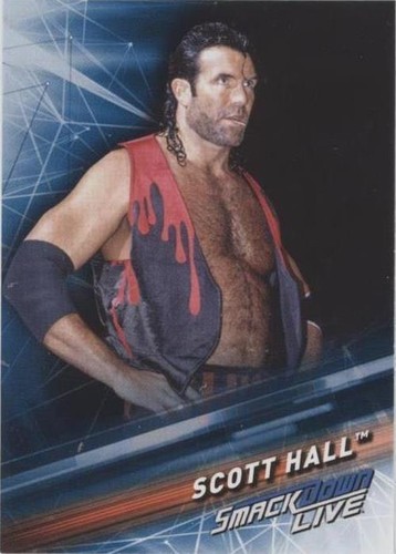 2019 Topps WWE Smackdown - Scott Hall #86