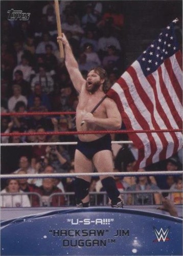 2015 Topps WWE - Jim Duggan #3