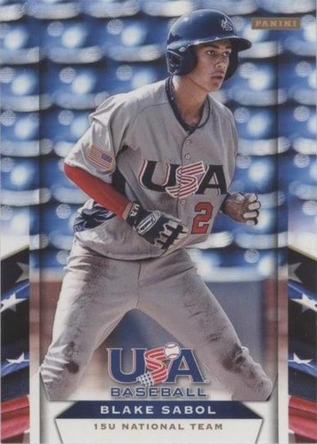 2013 Panini USA Baseball Box Set - Blake Sabol #60