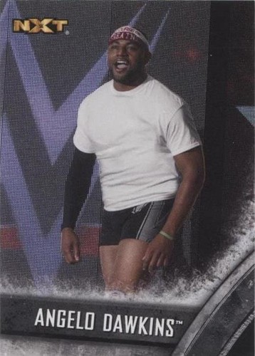 2016 Topps WWE NXT - Angelo Dawkins #4