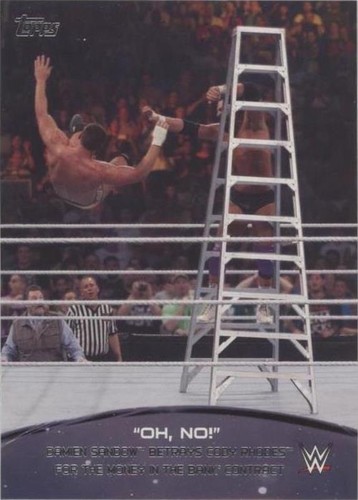 2015 Topps WWE - Cody Rhodes Damien Sandow #5