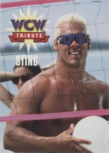 1995 CARDZ WCW Main Event - Sting #80
