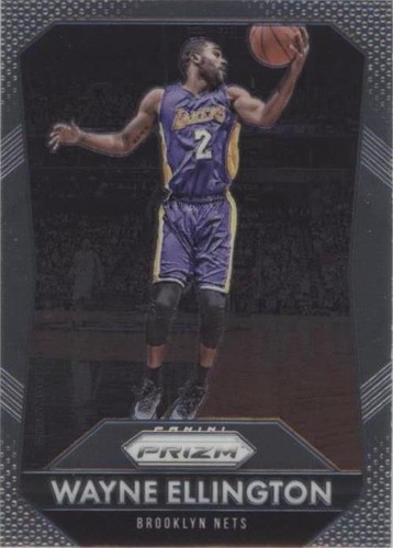 Wayne Ellington Trading Cards