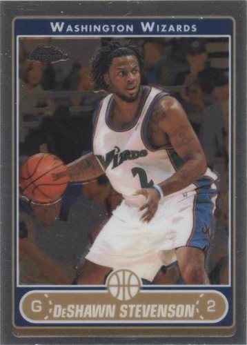 2006-07 Topps Chrome - DeShawn Stevenson #144