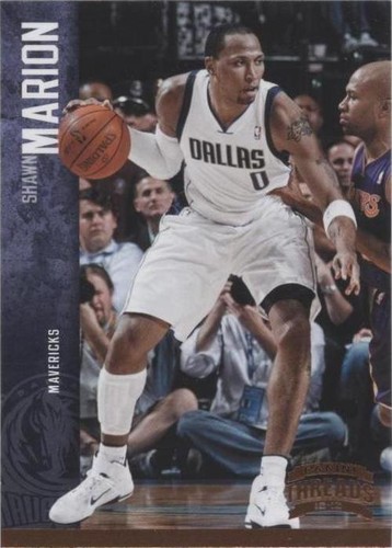 2012-13 Panini Threads - Shawn Marion #26