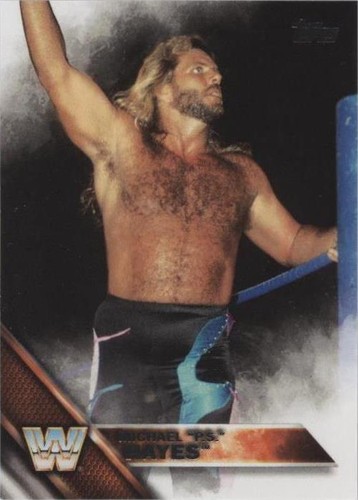 2016 Topps WWE Then Now Forever - Michael Hayes #182