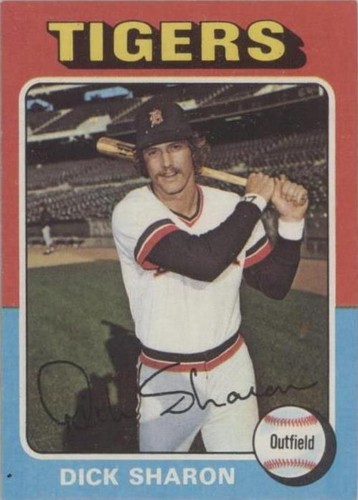 1975 Topps - Dick Sharon #293
