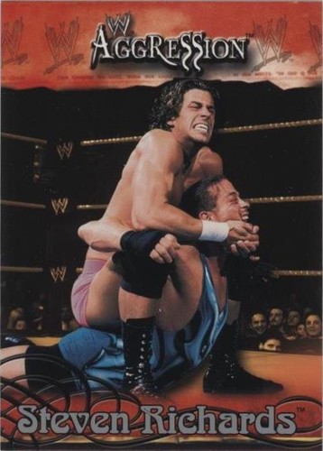 2003 Fleer WWE Aggression - Stevie Richards #34