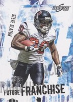 2009 Score Steve Slaton #19