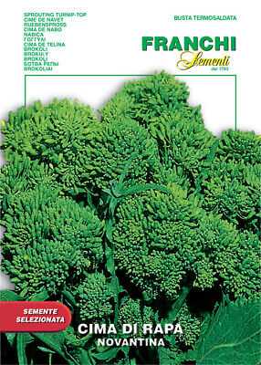 Semi Cime Di Rapa Broccoletti Ortaggi Orto Franchi Sementi Agricoltura 60 90 120