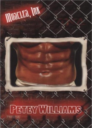 2008 TRISTAR TNA Wrestling Impact! - Petey Williams #MI-3