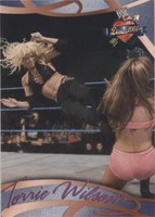 2004 Fleer WWE Divine Divas 2005 - Torrie Wilson #31