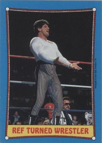 1987 Topps WWF - Danny Davis #23