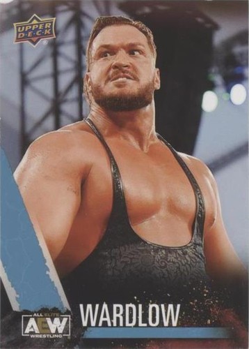 2021 Upper Deck AEW All Elite Wrestling - Wardlow #49