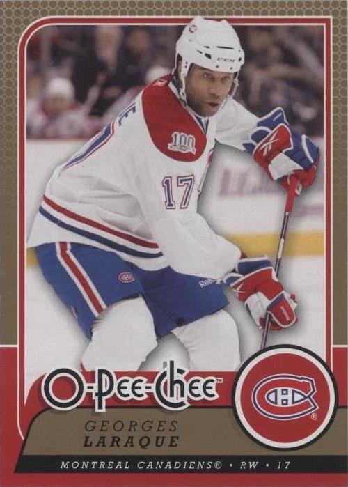 2008-09 O-Pee-Chee - Georges Laraque #643
