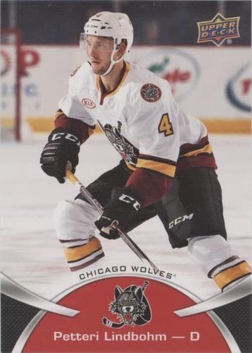 2015-16 Upper Deck AHL - Petteri Lindbohm #2