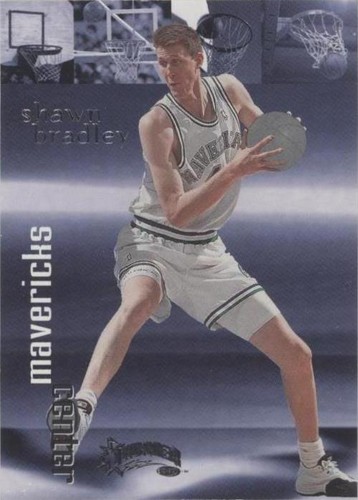 1998-99 Skybox Thunder - Shawn Bradley #44