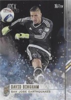 2015 Topps Apex David Bingham #81