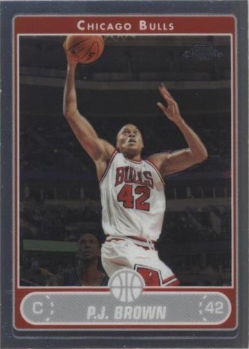2006-07 Topps Chrome - P.J. Brown #146