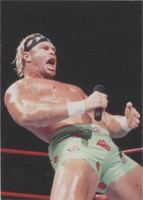 1998 Comic Images WWF Superstarz - Billy Gunn #34