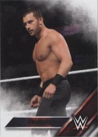 2016 Topps WWE - Fandango #20