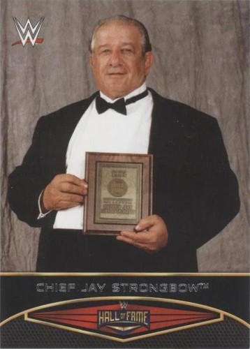 2015 Topps WWE Road to Wrestlemania - Chief Jay Strongbow #1