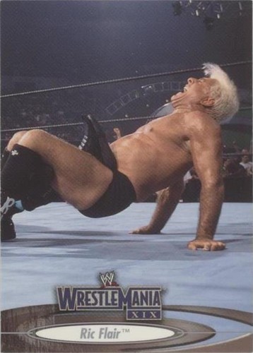 2003 Fleer Wrestlemania XIX - Ric Flair #21