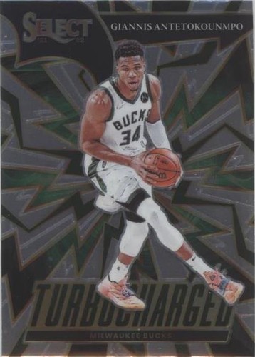 2024-25 Panini Select GIANNIS ANTETOKOUNMPO #7 Visionary SSP
