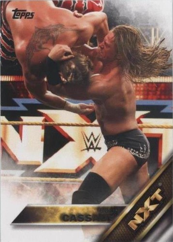 2016 Topps WWE - Colin Cassady #12