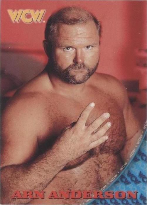 1998 Topps WCW/nWo - Arn Anderson #49
