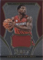 2013-14 Panini Select - Udonis Haslem #84