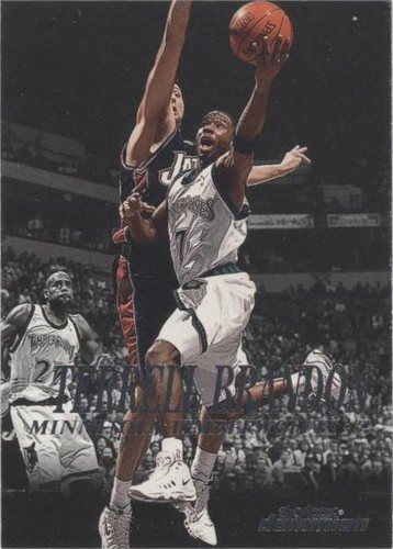 1999-00 Skybox Dominion - Terrell Brandon #8