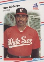 1988 Fleer - Ivan Calderon #394