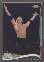 2014 Topps Chrome WWE - Diamond Dallas Page #99