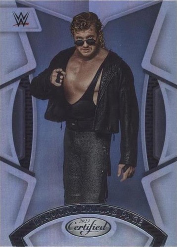 2023 Panini Chronicles WWE - Diamond Dallas Page #205