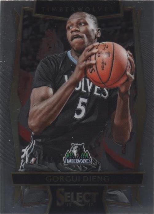 2016-17 Panini Select - Gorgui Dieng #13