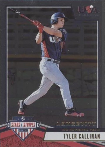 2019 Panini USA Baseball Stars & Stripes Longevity - Tyler Callihan #30