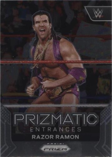 2024 Panini Prizm WWE - Scott Hall #16