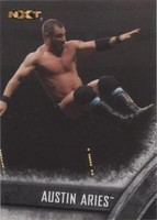 2016 Topps WWE NXT - Austin Aries #6