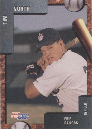 1992 Fleer ProCards Minor League - Tim North #1632