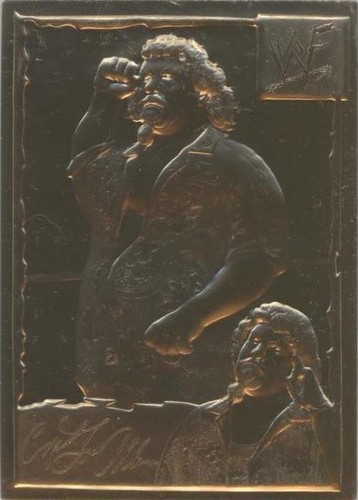 1999-2005 Danbury Mint 22k Gold WWF/E - Lou Albano #28