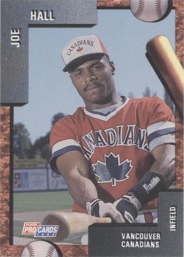 1992 Fleer ProCards Minor League - Joe Hall #2730
