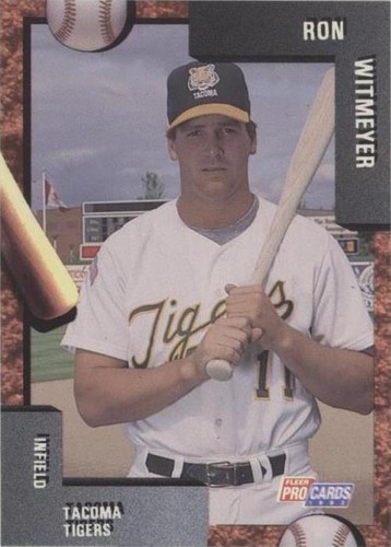 1992 Fleer ProCards Minor League - Ron Witmeyer #2513