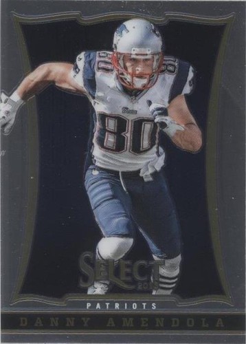 2013 Panini Select Danny Amendola #2