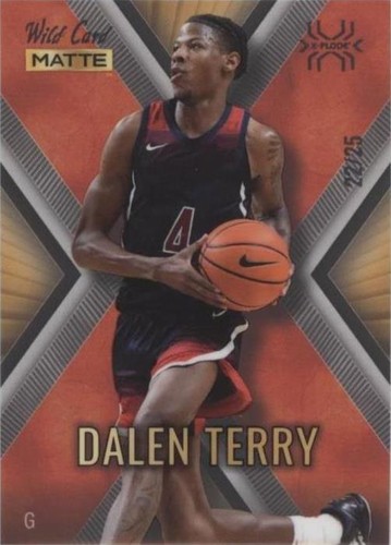 2022-23 Wild Card Matte Draft - Dalen Terry #MXP-9