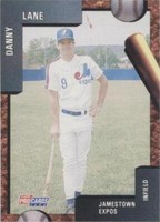 1992 Fleer ProCards Minor League - Danny Lane #1507