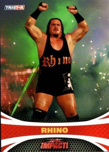 WWE TNA Impact Octagon Ring | eBay