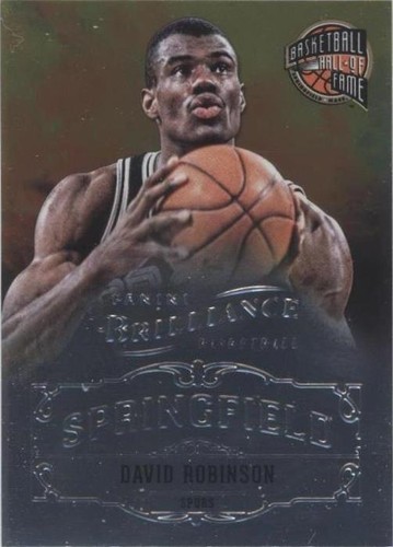 2012-13 Panini Brilliance - David Robinson #23